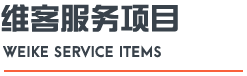 維客服務項目